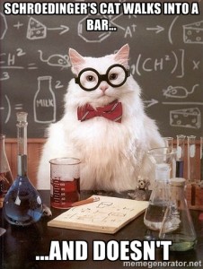 chemistrycat